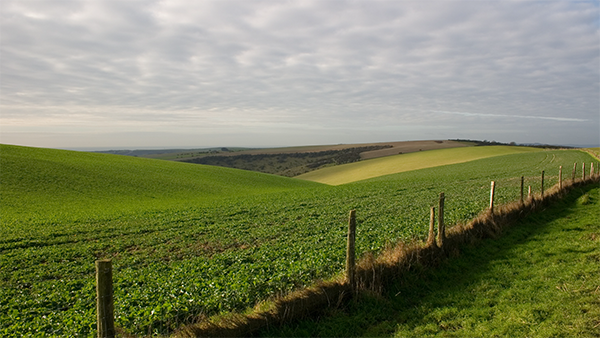 view of south downs